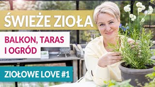 ŚWIEŻE ZIOŁA na balkon taras i do ogrodu 🌱 ZIOŁOWE LOVE 1 [upl. by Brentt]