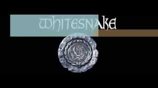 Whitesnake Here I Go Again lyrics [upl. by Wesla]