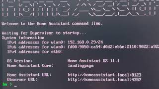 Raspberry Pi Home Assistant set up 33  Access the Home Assistant remotely [upl. by Barbabas128]