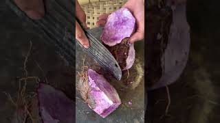 Purple sweet potato cutting process Good tools and machinery can increase work efficiency [upl. by Sancha]