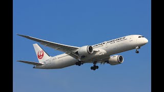 Minecraft 7879 Dreamliner JAL LIVERY [upl. by Dixie]