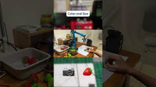 Sorting with a robotic arm using Raspberry Pi Python and OpenCV raspberrypi python [upl. by Salokin244]