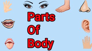 Parts Of Body In EnglishDifferent Parts Of BodyBody Parts Name In English [upl. by Enreval]