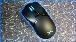 Delux M800DB Review  The WIRELESS Razer Viper Mini clone you didnt know you needed [upl. by Jeffrey752]