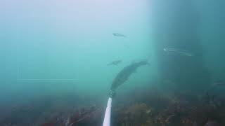 Beneath Yarmouth Pier [upl. by Felicie]