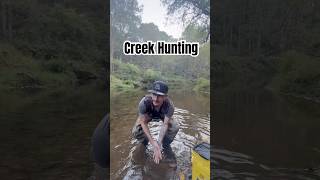 Did some creek fishing this week fishing freshwaterfish [upl. by Ahsikin]