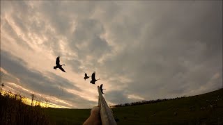 Gopro Goose Hunting [upl. by Anetta549]