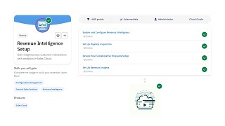 Revenue Intelligence Setup  Salesforce Trailhead [upl. by Ketchan]