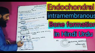 Endochondral and intramembranous Bone formation in HindiUrdu OrthodonticsMBBS and BDS lectures [upl. by Scholem]