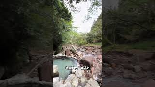 日本一周の旅！九州上陸！！日本一周 日本一周バイク旅 大分県 福岡 海鮮 グルメ 旅 旅行 パワースポット 絶景 絶景スポット 海 バイク旅 trip 温泉 別府 [upl. by Comptom]