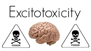 What is Excitotoxicity [upl. by Hizar]