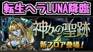 【生放送】転生ヘラLUNA降臨に行く【パズドラ】 [upl. by Hach426]