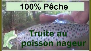 Truite au poisson nageur [upl. by Sulokcin]