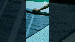 Towel Folding youtubeshorts shortsvideo trending viralvideo shortsfeed animals shorts [upl. by Kimberley]