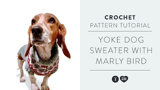 Crochet Family Dog Sweater with Marly Bird [upl. by Anem880]