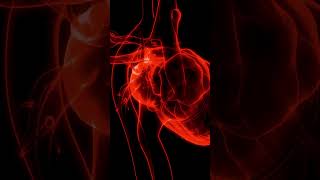 Normal Heart Sound vs Pulmonary Stenosis [upl. by Eceerahs]