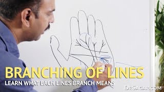 Branching of Lines in Hand  Palmistry [upl. by Kramlich]