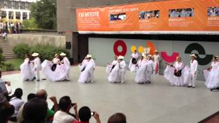 Ballet Folklórico CitlaliVeracruz Sotavento El colas [upl. by Accisej626]