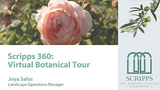 Scripps College 360 Virtual Campus Botanical Tour [upl. by Marlo782]