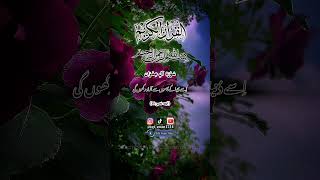 Quran al Kareem  Surah Al Imran 3336 quran quranrecitation qurantranslation allah patience [upl. by Asseram569]