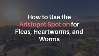 How to Use the Aristopet Spot On for Fleas Heartworms and Worms  VetSupply [upl. by Einegue282]