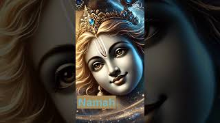 Shree Krishna Chalisa To Save Our Soul Recite Everyday  Jai Shree Krishna🪷🌸🕉️ [upl. by Cimbura877]