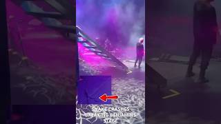 Snake Crashes Breaking Benjamin Stage Live breakingbenjamin snake concert [upl. by Amery738]