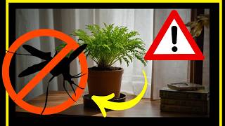 ➡️ REVOLUCIONARIO 7 Plantas que Repelen Mosquitos 🦟 Cambian tu ambiente para Siempre [upl. by Ettenim179]