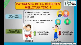 FISIOPATOLOGÍA DE LA DIABETES MELLITUS TIPO 1 Y TIPO 2 GuiaMed 1080p [upl. by Rockey913]