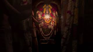 ✨Srini vasa 🙏Govinda 🌼Sri Venkatesha 🙏Govinda ✨ [upl. by Noired]