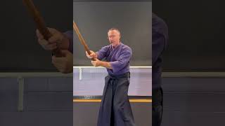 Using a BOKKEN Tsuki sword training basics AIKIDO PART 3 [upl. by Weikert]