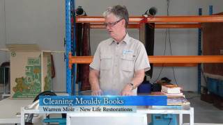 Library Mould Removal  How to Remove Mold from Books [upl. by Euqinad265]