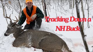 Lucky  Tracking a Big Woods Buck in New Hampshire He came back to 20 yards [upl. by Libby]