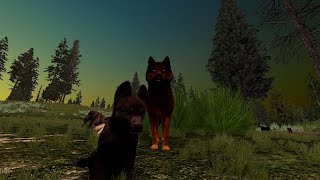 Accurate WolfQuest AE Hygge Pack S4 17  Fourth Litter Heir Poll [upl. by Berfield180]