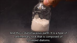 Diatomaceous Earth under the microscope [upl. by Elauqsap]