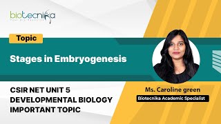 Stages in Embryogenesis  CSIR NET Important Topic  UNIT 5 Developmental Biology [upl. by Plusch]