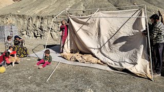 Setting Up a Rainproof Storage Tent 🌧️  Farewell to a Puppy 🐶 [upl. by Hecht]