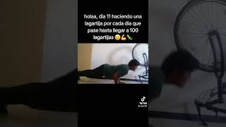 Dia 11 haciendo una lagartija por cada dia que pase hasta llegar a 100 lagartijas 🦎🤨💪 [upl. by Suoicul598]