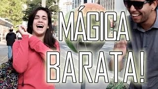 MÁGICA BARATA [upl. by Amlet]