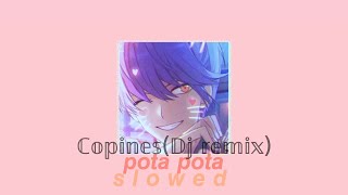 Copines remix slowed  Dj tiktok  Dj Pota pota  remix [upl. by Henry]