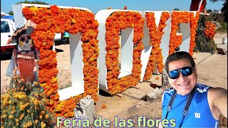 Feria De Las Flores Doxey 2023 [upl. by Nnair888]