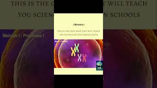 Meiosis animation Meosis 1 Meosis 2 Difference between meosis 1 and meosis 2 [upl. by Alston]