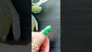 Easy floral nailart for beginners 💅💚 reels nails youtubeshorts viralvideo [upl. by Ybrek]