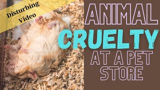 SHOCKING Animal Cruelty EXPOSED At A Pet Store  Small Animal Abuse  Hamster Inhumane Treatment [upl. by Arima]