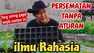 Jangan percaya MITOS  Semai benih itu mudah kok [upl. by Siddon623]