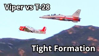 RC Plane Tight Formation Flying Viper vs T 28 [upl. by Yoj]