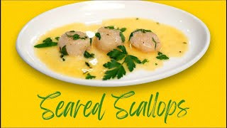 Seared Scallops [upl. by Yesrod]