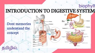 ALLIED HEALTH SCIENCES  ANATOMY AND PHYSIOLOGY  Digestive system  How digestion is done [upl. by Tamer1]