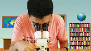 How Do STEREO MICROSCOPES Work [upl. by Lardner682]