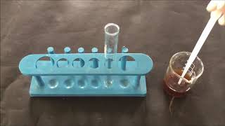 Saponin Foam Test  Chemical Identification By Saponin Foam Method  Saponin Test  सैपोनिन टेस्ट [upl. by Noraf832]